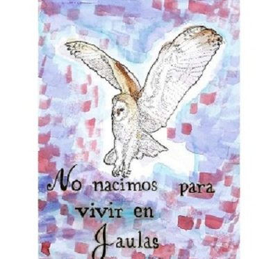 CHILE: ON THE SITUATION OF MÓNICA CABALLERO SEPÚLVEDA.